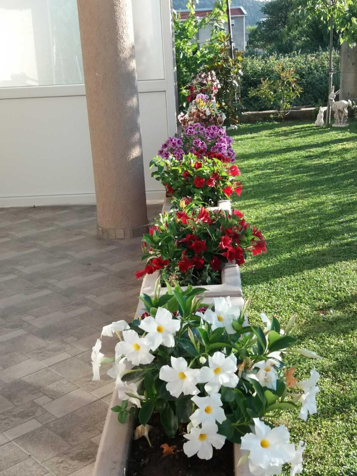 דירות באר Oassis חדר תמונה